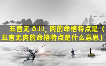 五官无 🌸 肉的命格特点是（五官无肉的命格特点是什么意思）